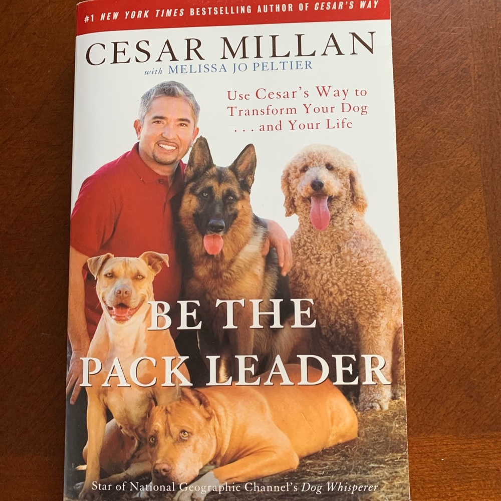 Be the pack leader by Cesar Millan